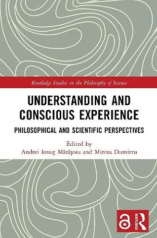 Understanding and Conscious Experience