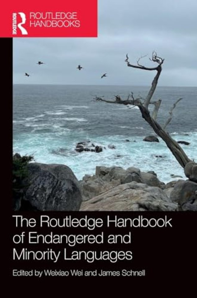 The Routledge Handbook of Endangered and Minority Languages