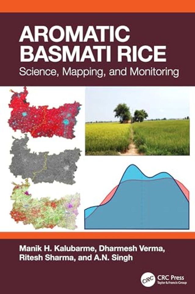 Aromatic Basmati Rice