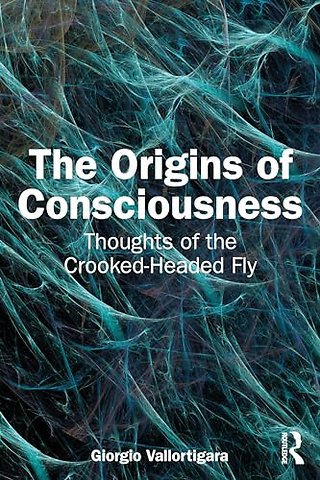 The Origins of Consciousness