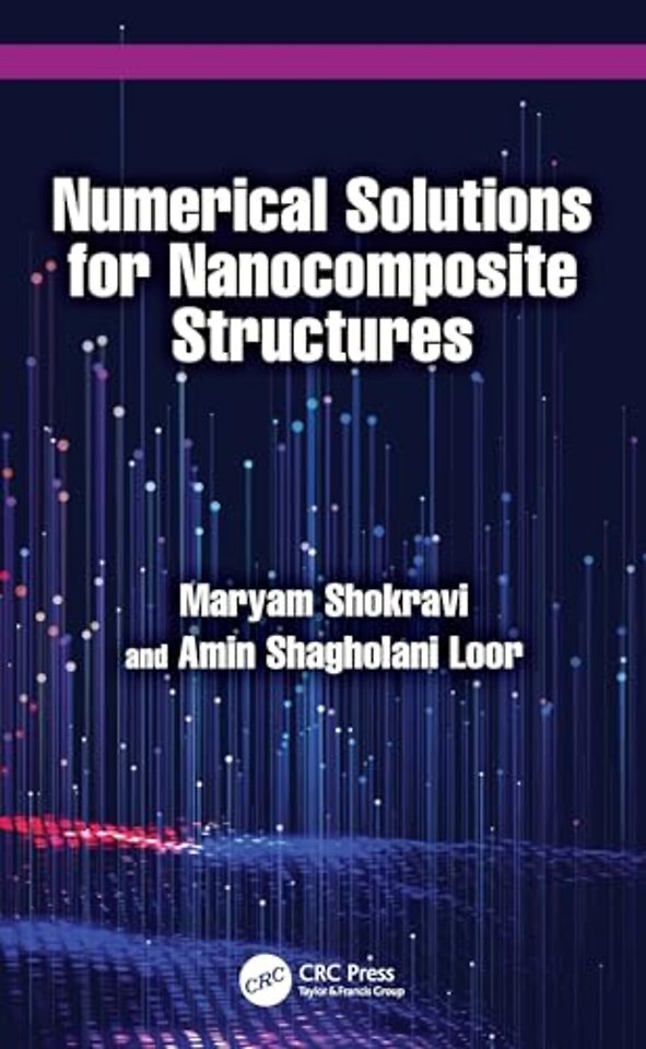 Numerical Solutions for Nanocomposite Structures