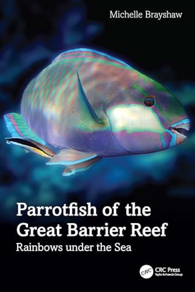 Parrotfish of the Great Barrier Reef