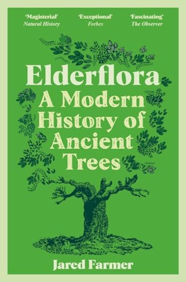 Elderflora