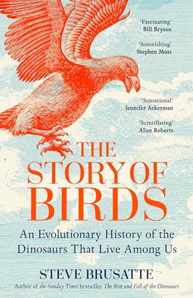 The Story of Birds
