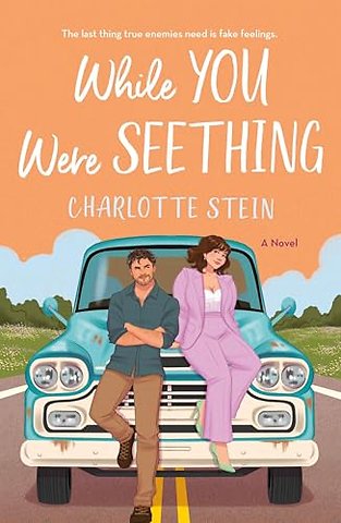 While You Were Seething