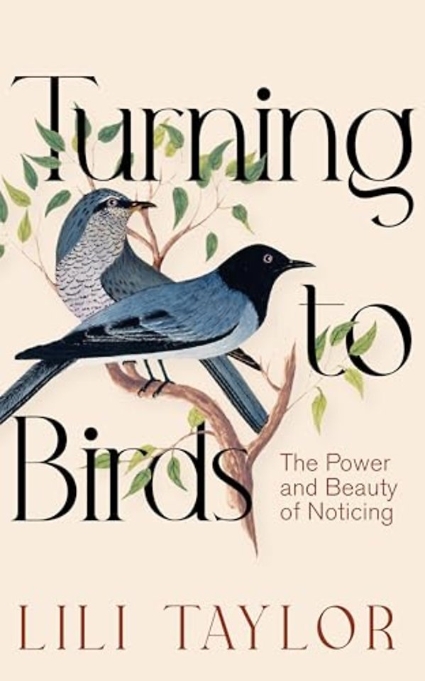 Turning to Birds