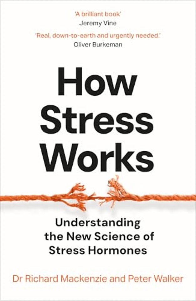 How Stress Works