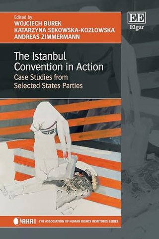 The Istanbul Convention in Action