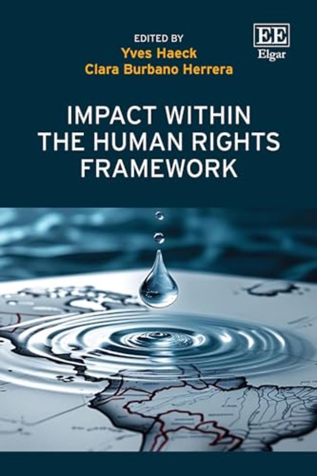 Impact within the Human Rights Framework