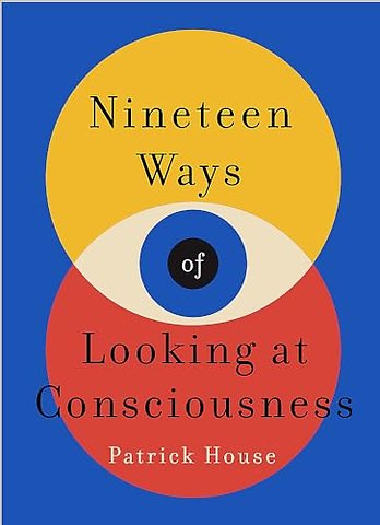 Nineteen Ways of Looking at Consciousness