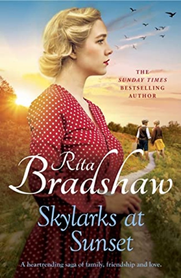Skylarks At Sunset