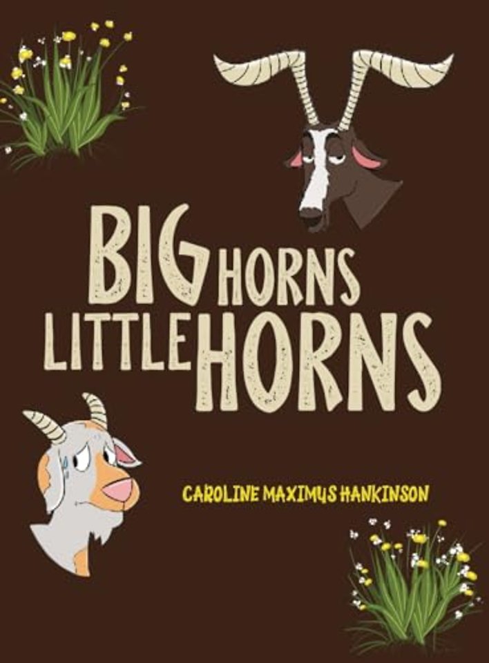 Big Horns Little Horns