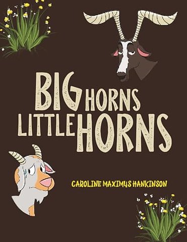 Big Horns Little Horns