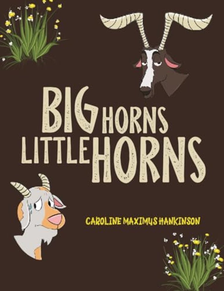 Big Horns Little Horns