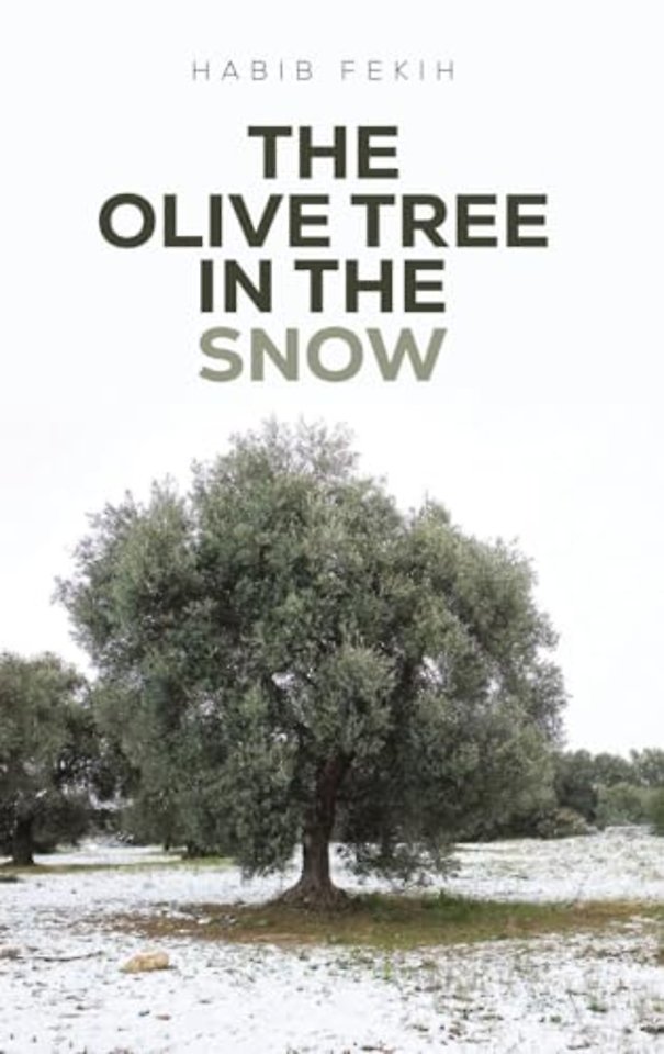The Olive Tree in the Snow