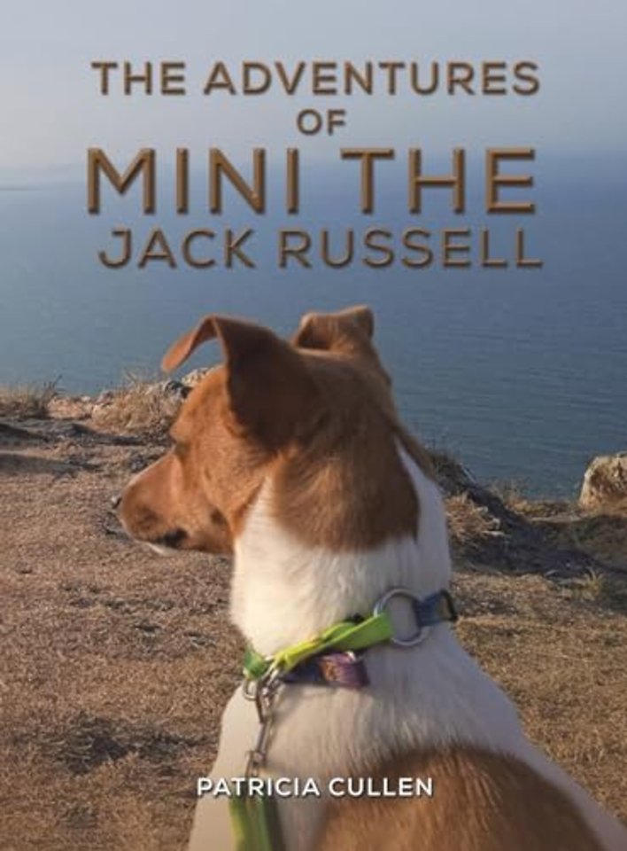 The Adventures of Mini the Jack Russell