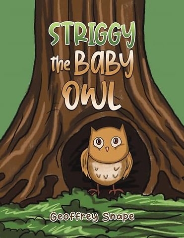 Striggy the Baby Owl