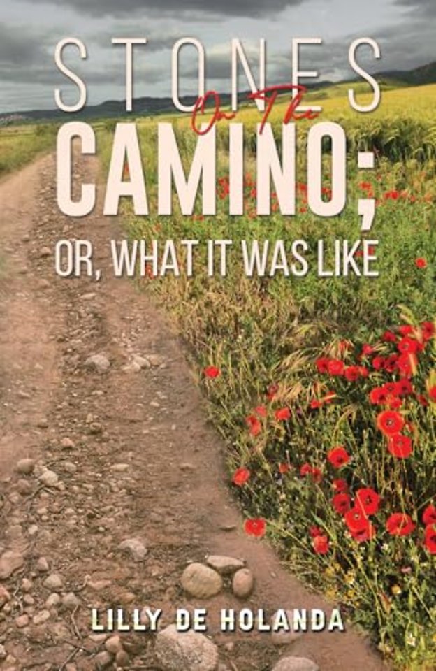 Stones on the Camino; or, What It Was Like