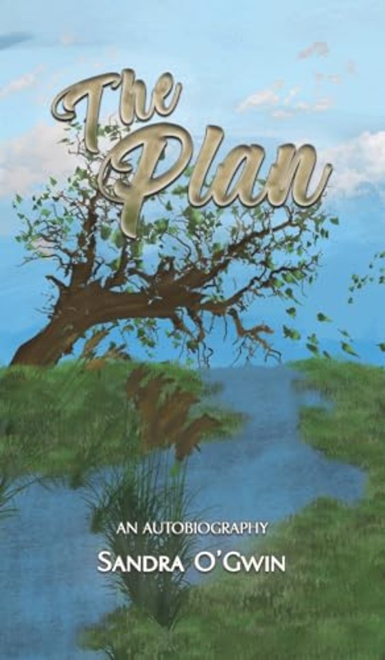 The Plan
