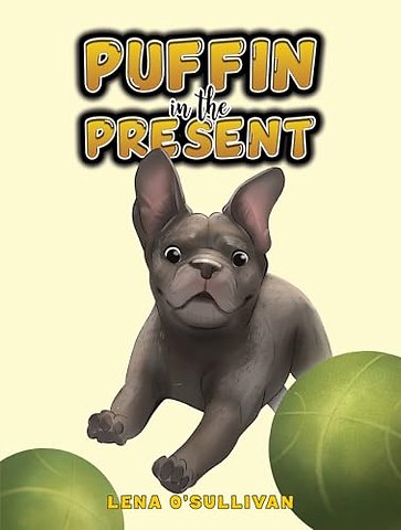 Puffin in the Present
