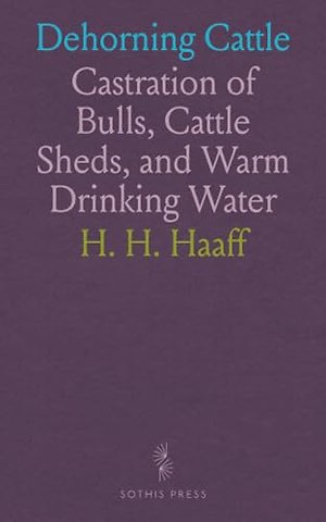 Dehorning Cattle