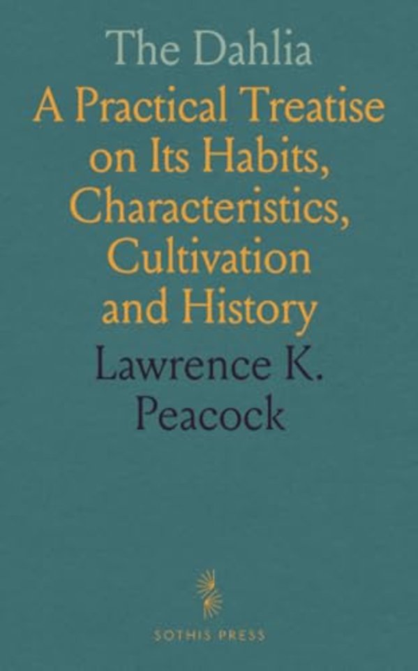 Dahlia