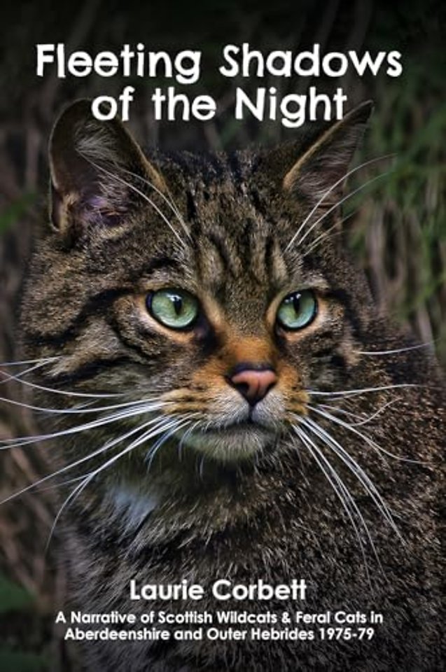 Fleeting Shadows of the Night