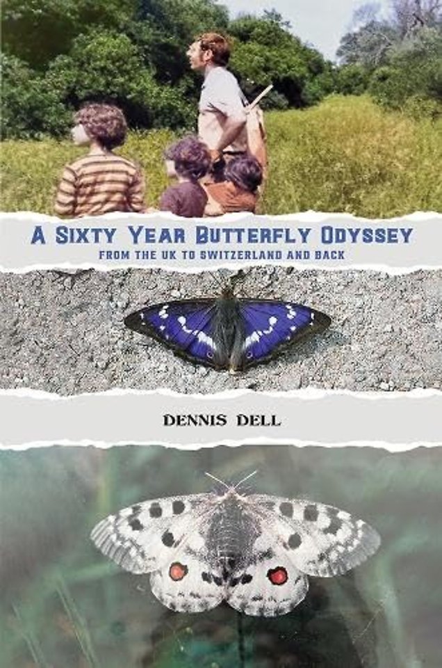 A Sixty Year Butterfly Odyssey