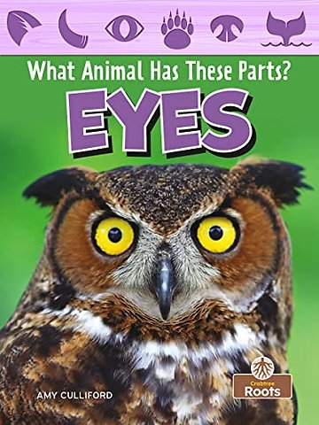 Eyes