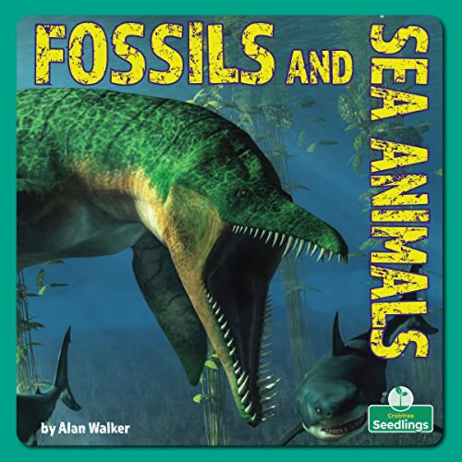 Fossils and Sea Animals