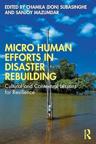 Micro Human Efforts in Disaster Rebuilding