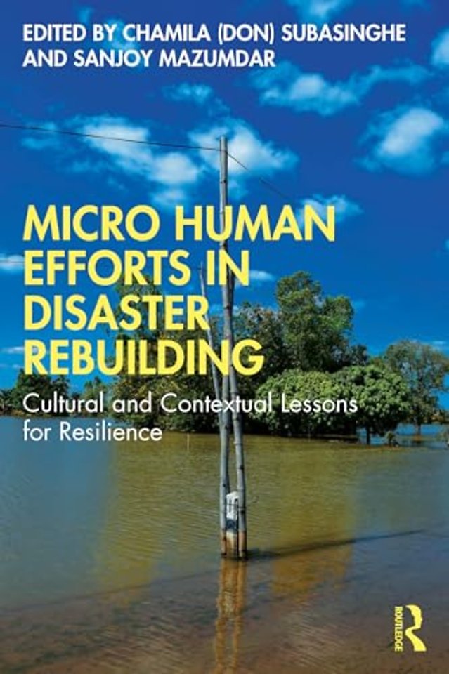 Micro Human Efforts in Disaster Rebuilding