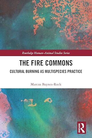 The Fire Commons