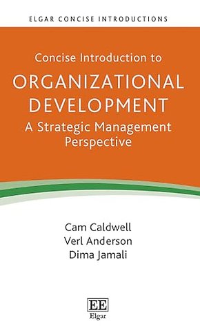 Concise Introduction to Organizational Developme – A Strategic Management Perspective