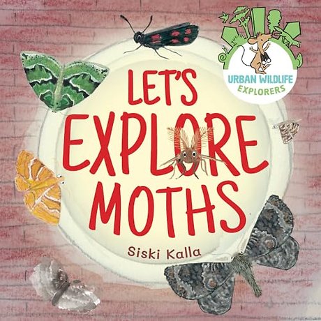 Let's Explore Moths