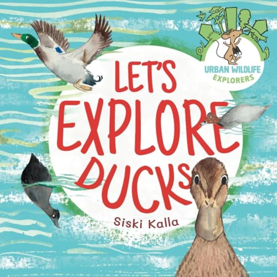 Let's Explore Ducks