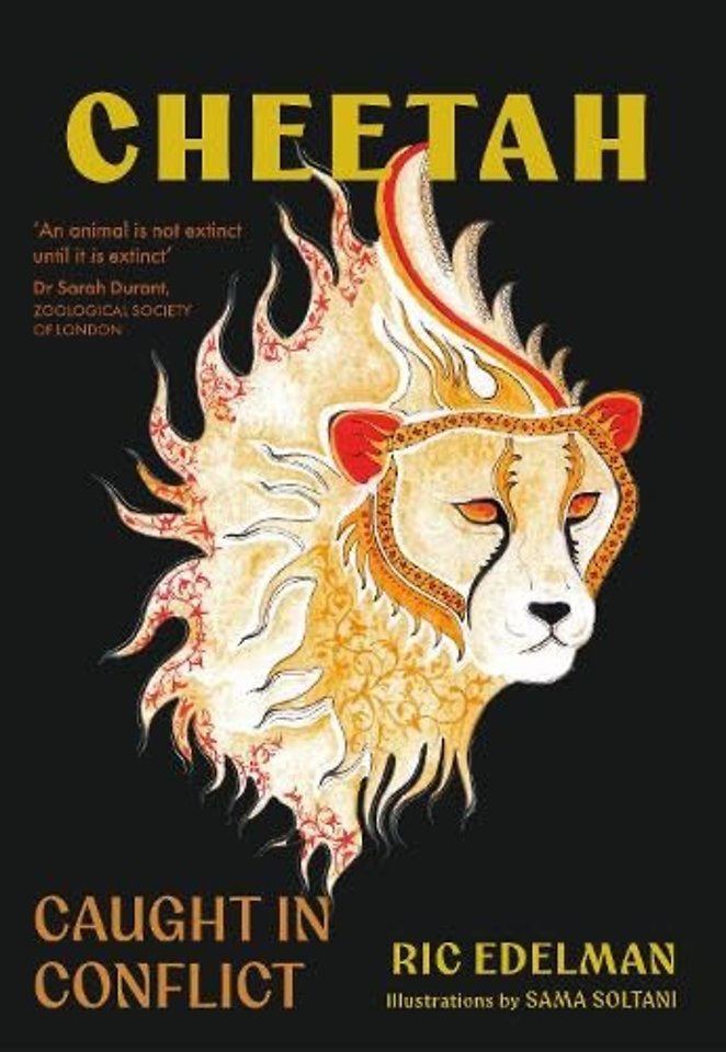 Cheetah