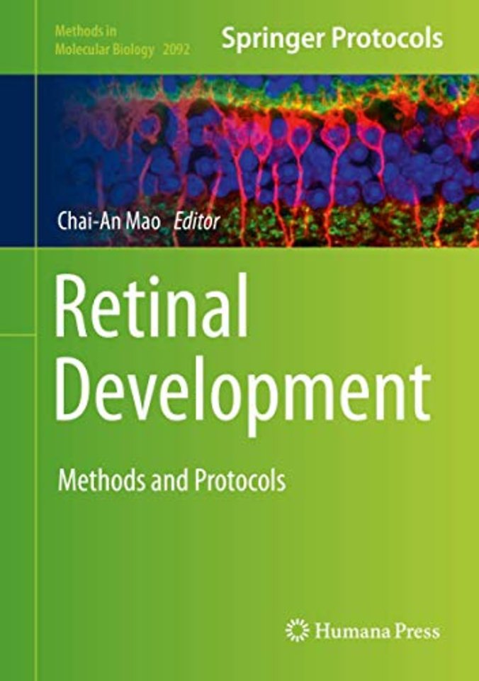 Retinal Development