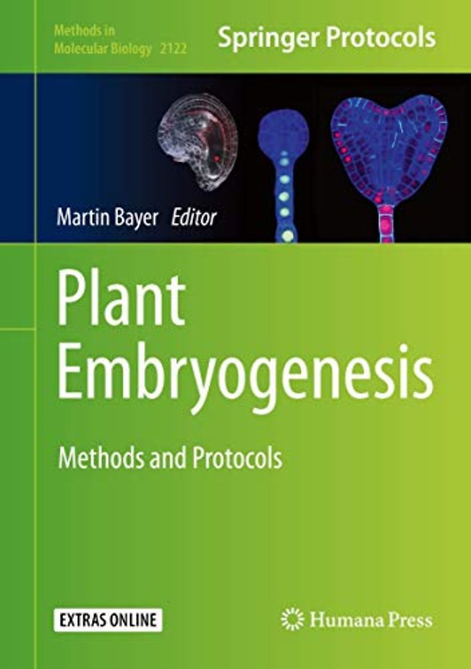 Plant Embryogenesis
