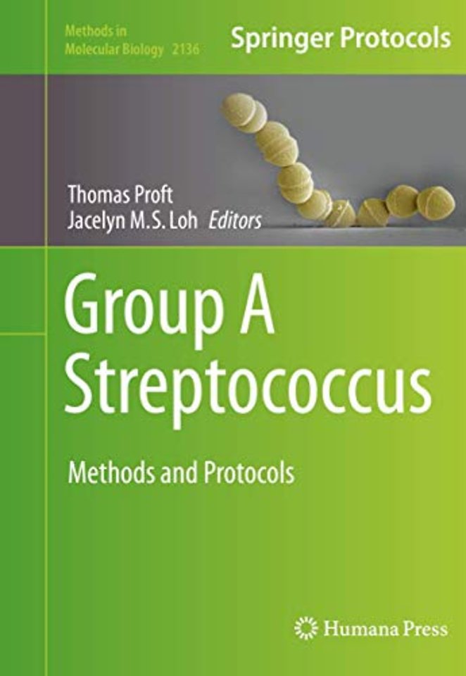 Group A Streptococcus
