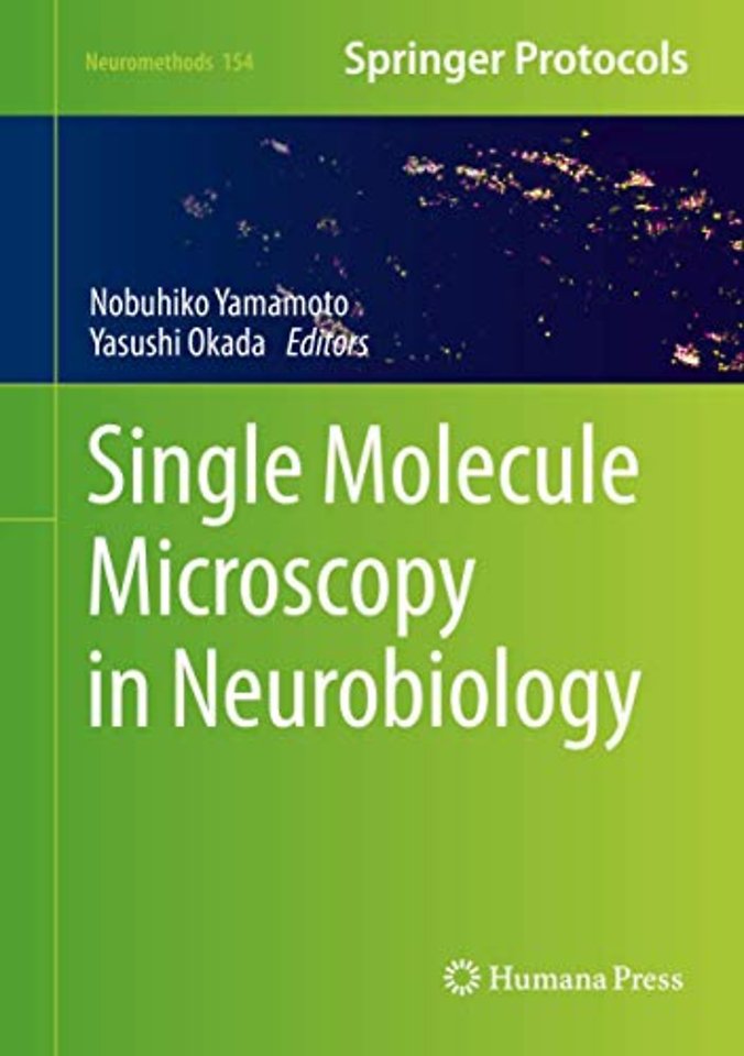 Single Molecule Microscopy in Neurobiology