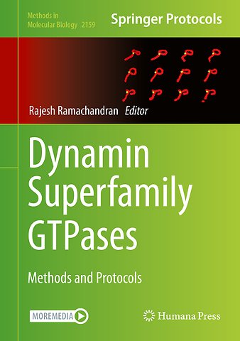 Dynamin Superfamily GTPases