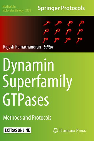 Dynamin Superfamily GTPases