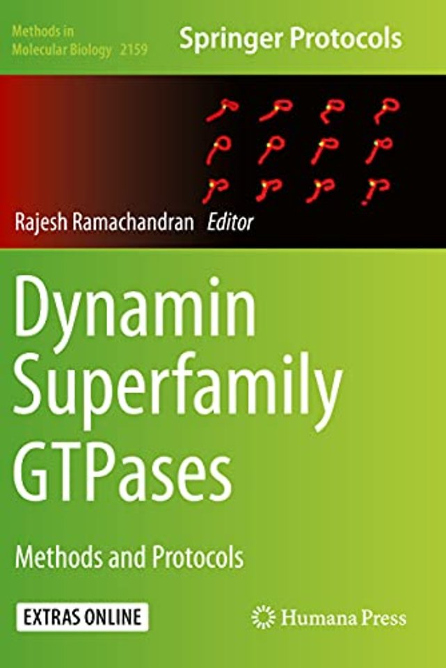 Dynamin Superfamily GTPases