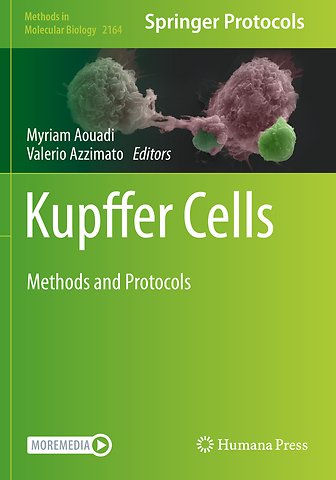 Kupffer Cells