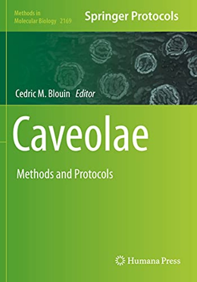 Caveolae
