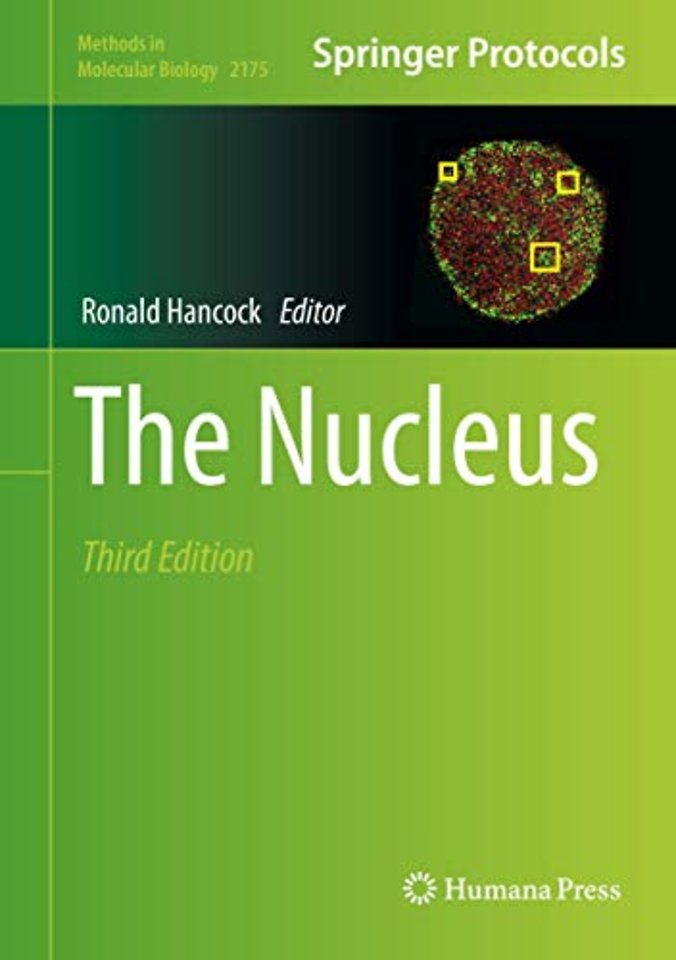 The Nucleus