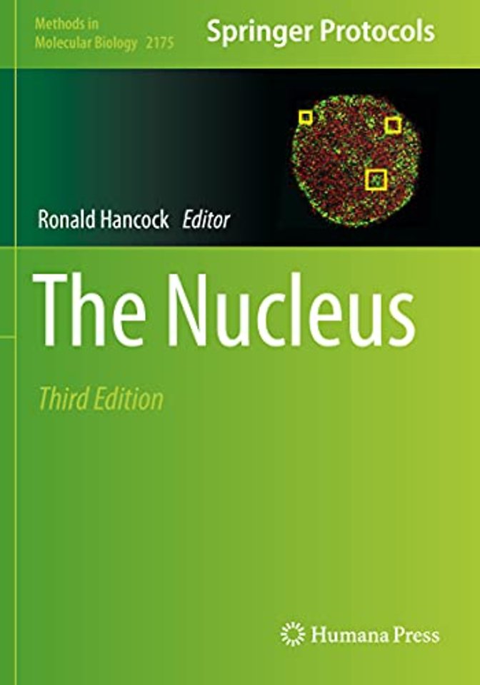 The Nucleus