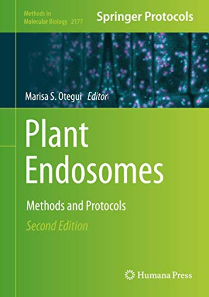 Plant Endosomes