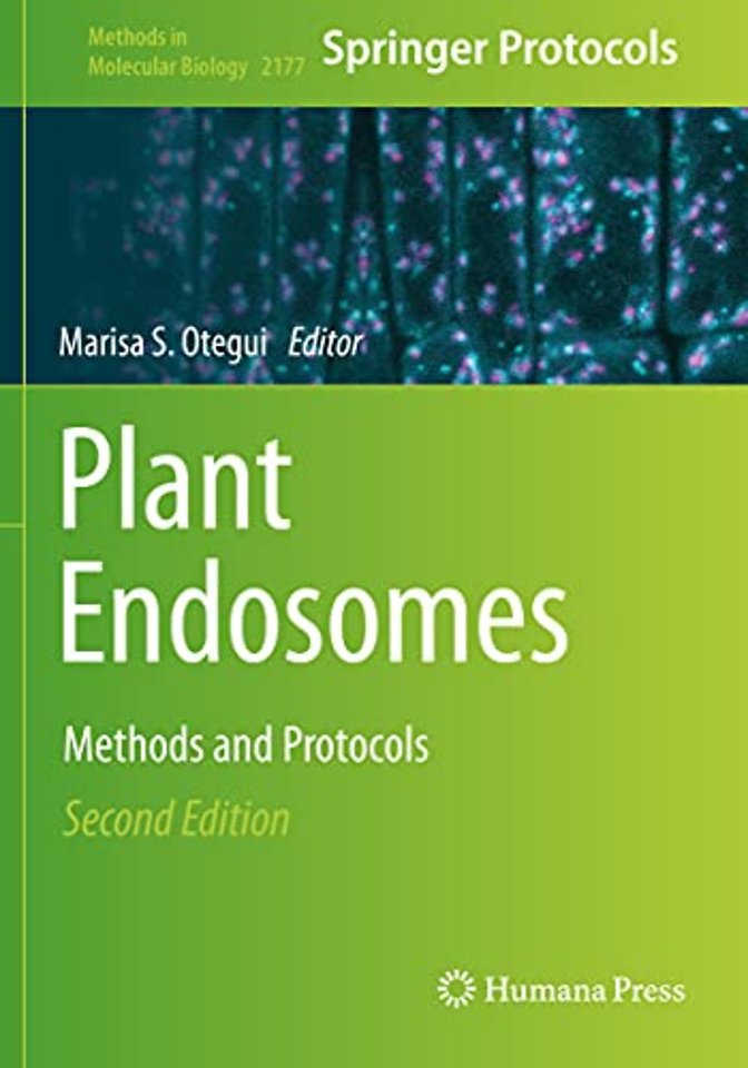 Plant Endosomes